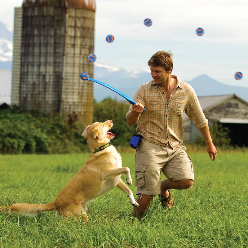 Petmate rubber ball chuckit ball pet dog toy toy, grinding teeth, interactive sound, walking dog edge