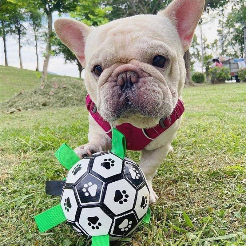 Dog Football Toys Amazon Broken Lightweight High Bomb Large, Small, Small Dog New Pet Bella Same Football