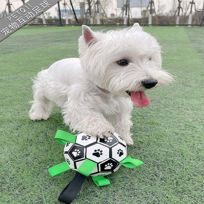 Dog Football Toys Amazon Broken Lightweight High Bomb Large, Small, Small Dog New Pet Bella Same Football