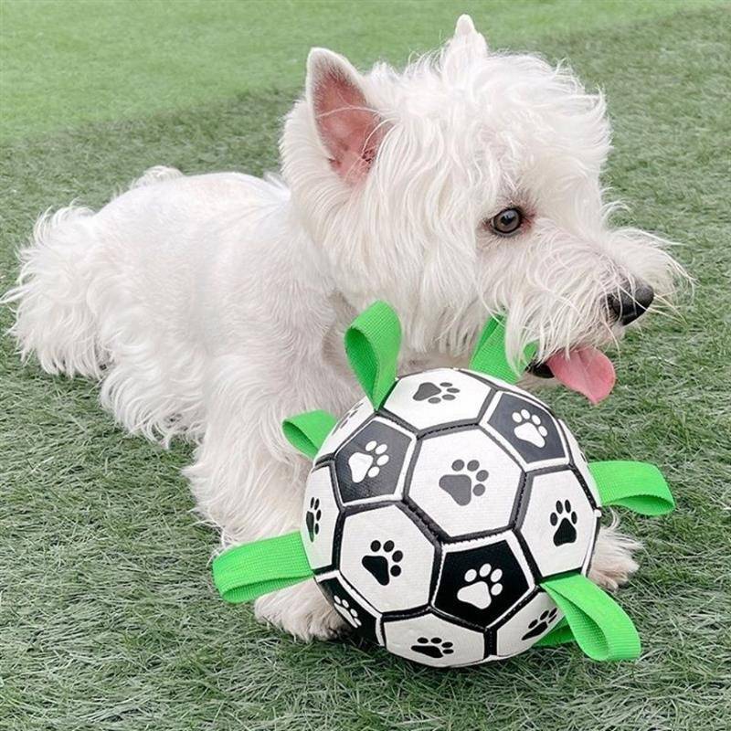 Dog Football Toys Amazon Broken Lightweight High Bomb Large, Small, Small Dog New Pet Bella Same Football