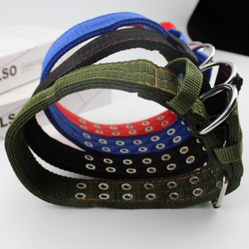 Large dogs collar pet supplies Dog circle neck ring neck, neck, medium -sized dog golden -haired Wrangle dog neck hood