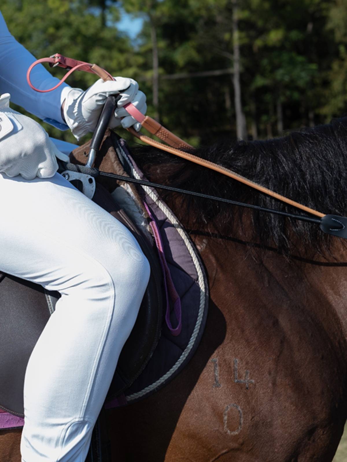 Epona Puspoy adult riding disorders horse whip horse supplies Equipment professional equestrian training from 60cm