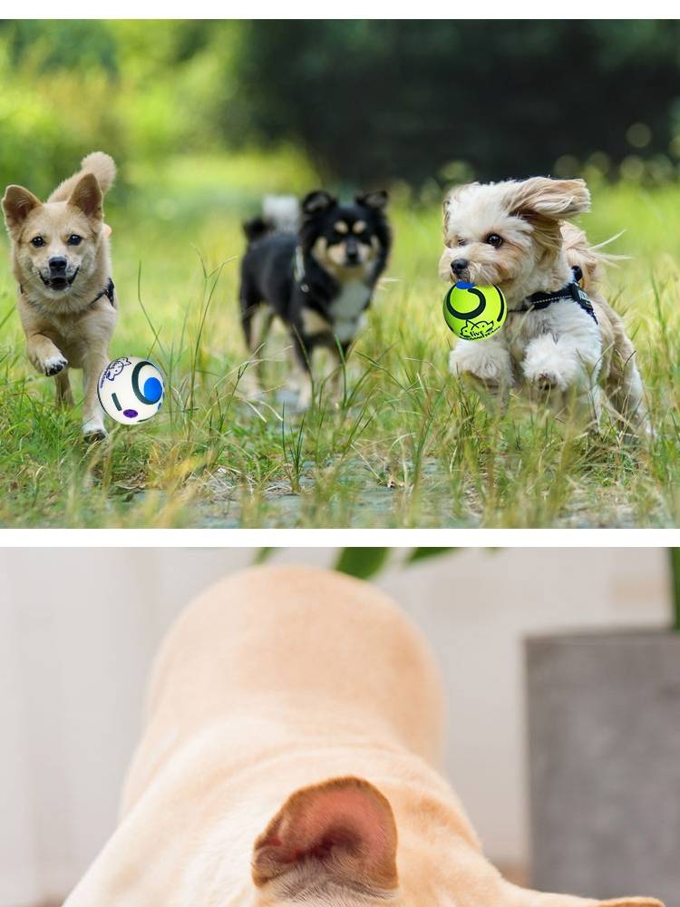 Dog toy toys unhrown artifact rolling monster screaming, grinding teeth, biting, biting, biting, not bad pets, sending sound balls