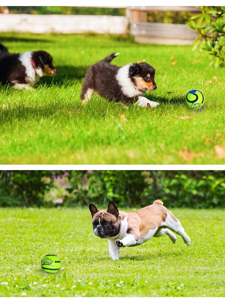 Dog toy toys unhrown artifact rolling monster screaming, grinding teeth, biting, biting, biting, not bad pets, sending sound balls