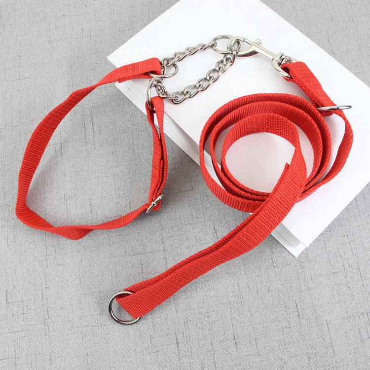 Dog Army Green Neck Rules Deedle Golden Mao Ting Circle Puppy P Chain Pet Circle Medium Dog Dog Large -scale Dogs Walking Dog Neck Case
