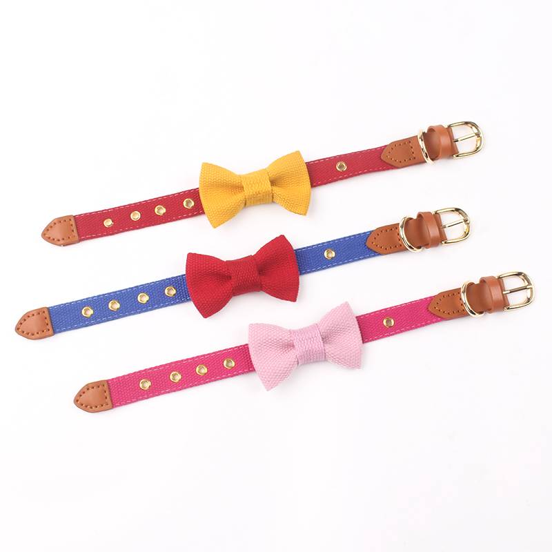 honeybunny pet dog collar collar canvas traction rope leather stitching neck ring bow engraving