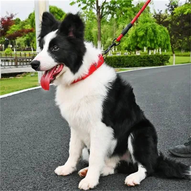Thickened wear -resistant dog collar small soil dog puppies neck, small medium large dog neck cover dog circle neck circle pet supplies