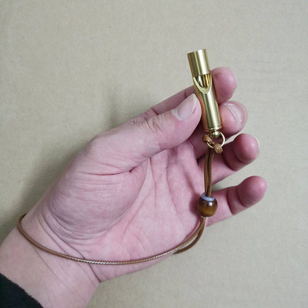 Dog Dog Tuning Dog Pattoo Pony Dog Golden Mao De Mu Raid Recall of Dog Training Pigeon Pet Training Artifact Equipment and Equipment