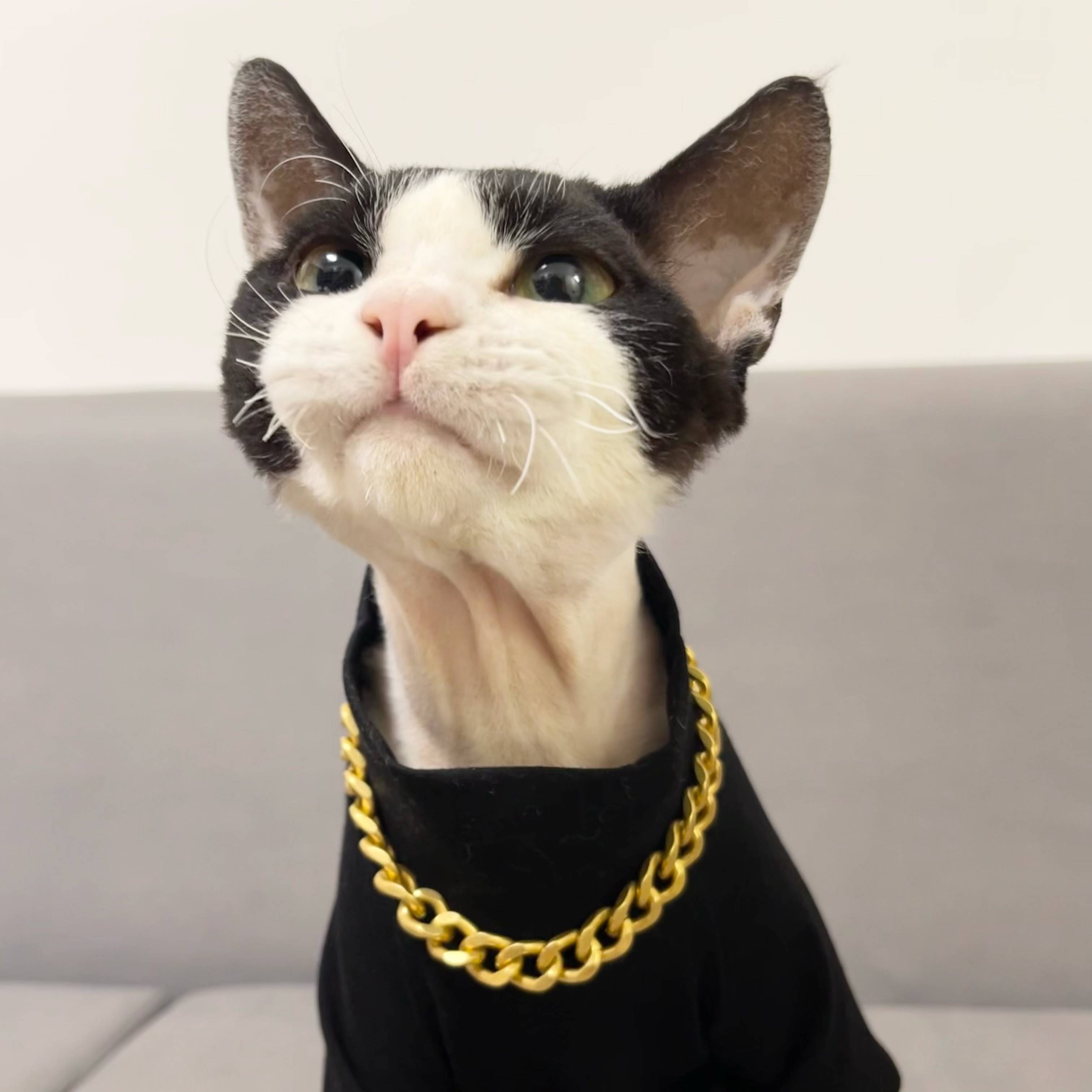 Xiaoba Tonic German Rolling Cat Necklace Mao Mao Wicking Cat Cat Trended accessories Metal alloy anti -allergic pendant