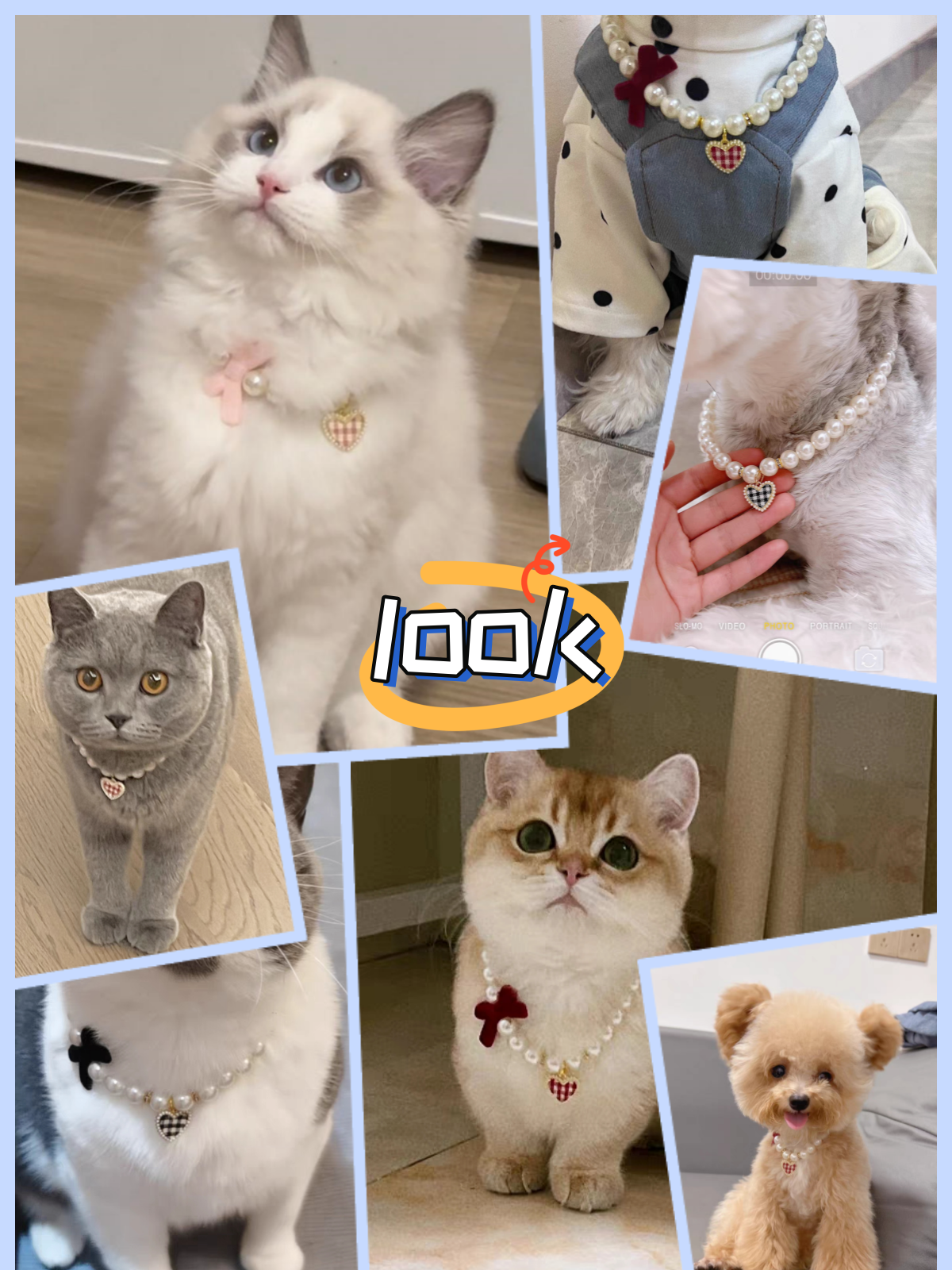 Pet pearl necklace cat dog collar accessories German cute little dog Biexus Yorkson
