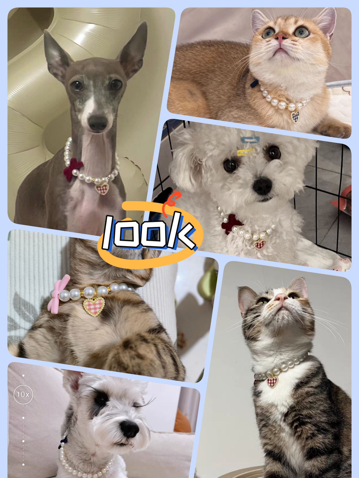 Pet pearl necklace cat dog collar accessories German cute little dog Biexus Yorkson