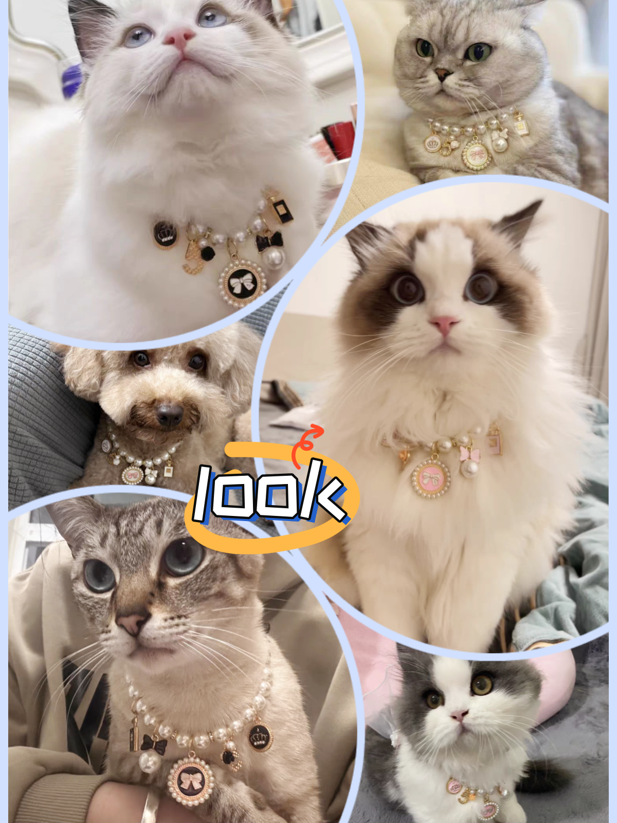 Pet pearl necklace cat dog collar accessories German cute little dog Biexus Yorkson