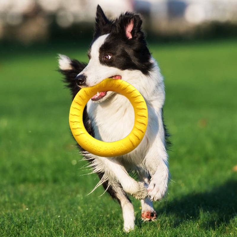 Dog toy toys, bite the running flying tray edge training dedicated circles, consume physical grinding teeth pet rubber soft balls