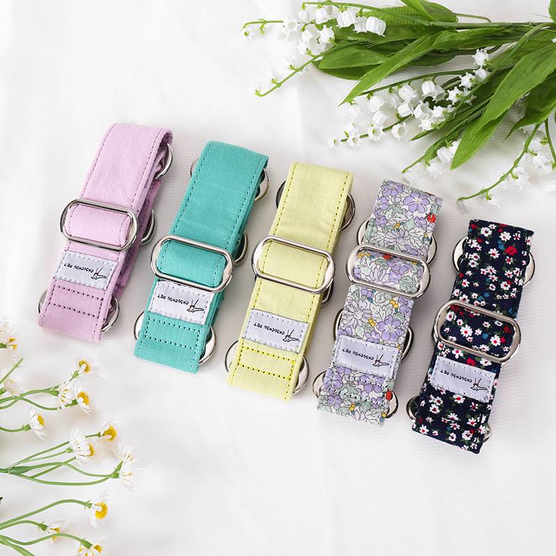Italian Little Lingti Huibi Betinti Special Cotton Cotton adjustable wide pet collar horse Dobin