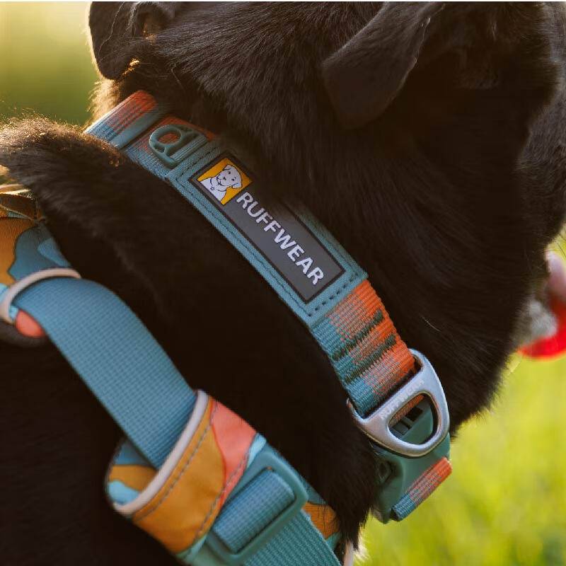 Lavwelfrand dog collar in large and small dogs and dog necks, pet collars, dog neck ring