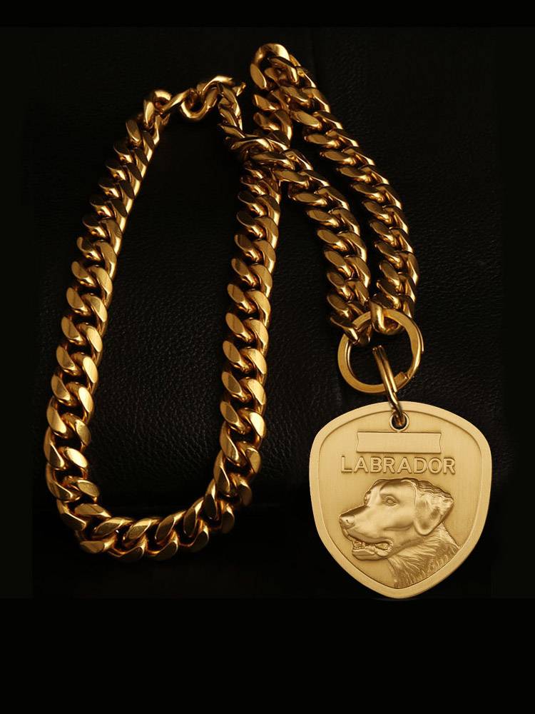 Bronze gold chain pet decorated collar dog dressed as a cool necklace