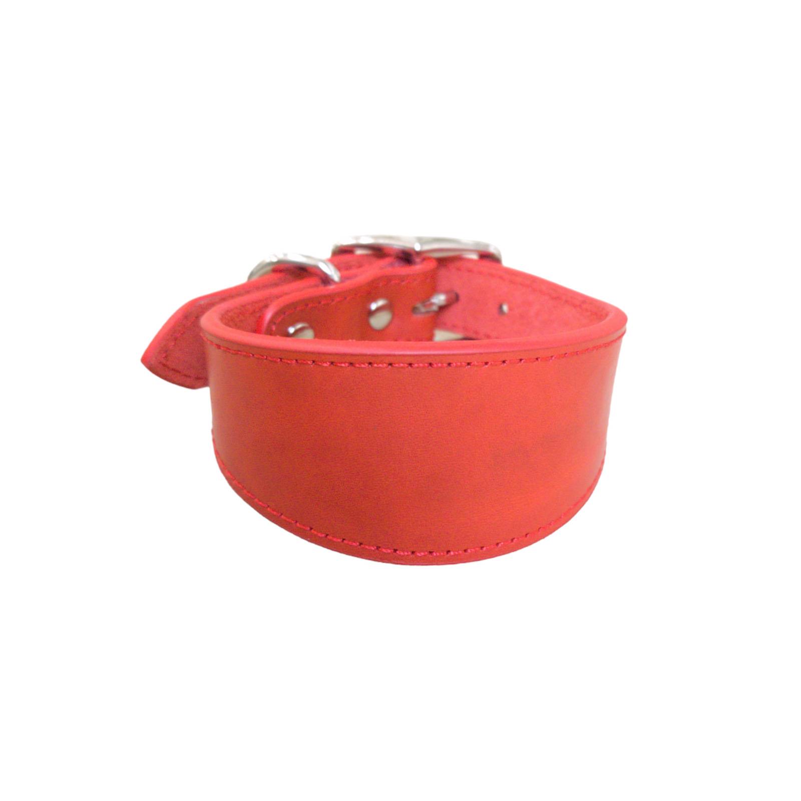 S(25-30cm)