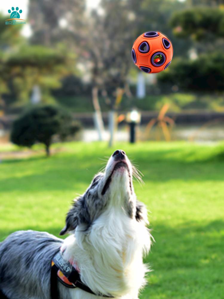Plum Blossom Dog toy Ball Puttering Modeling Large Inu Ti Di Dog Puppies Training Pets to Jolly Small Sound toy
