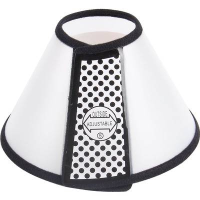Number three for 15-20 dogs, small and medium