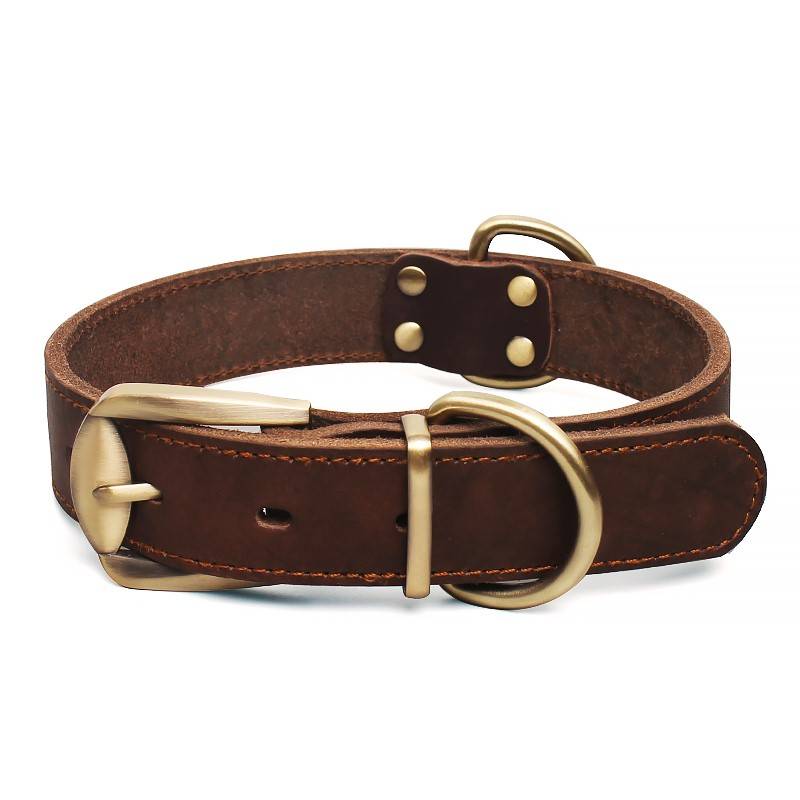 Dog Cowee Circle Circle Dog Circle Medium Large Dog Golden House Horse Inu Demon Musch Neck Circle Cortex leather dog rope