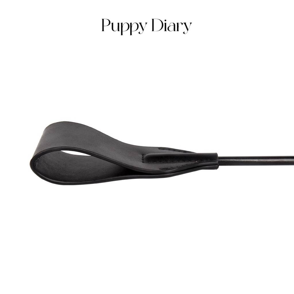 Puppy Diary*Fifty degrees of gray -rays whip cosplay cosplay leather hand photographic props