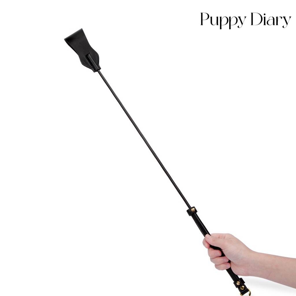 It's a long whip