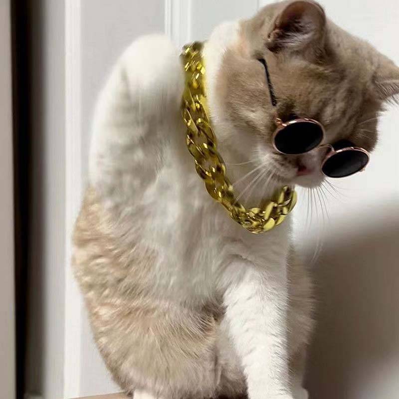 Cat gold necklace sunglasses Small small dog pet dog chain chain Fighting Badge Teddy collar big gold chain