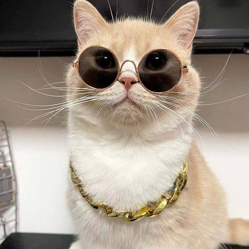 Cat gold necklace sunglasses Small small dog pet dog chain chain Fighting Badge Teddy collar big gold chain