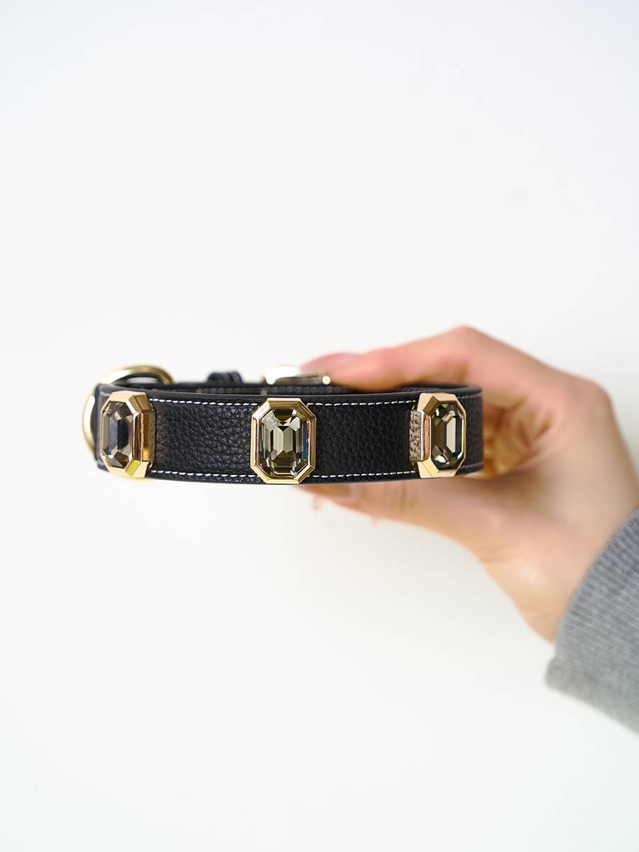 Marsmail Marsmail Pet collars Todium Set Large, Small Dogs Walking Cat, Dog, Cat, Catal Neck Neck Circle