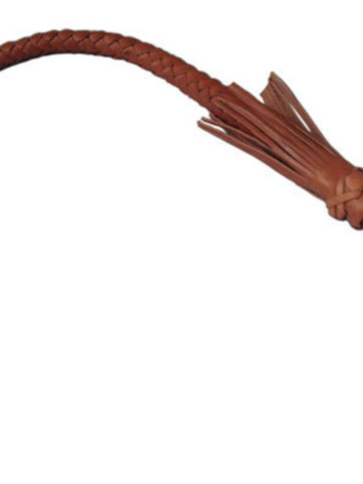Cowhide horse possibal whip handmade dermis and cavalry horses whip tame horse tutoring dark brown black short whip defense