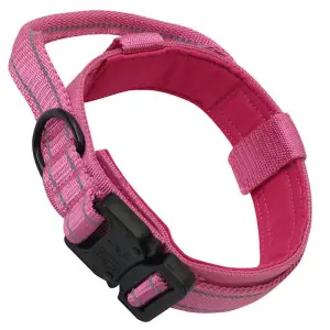 Tactical dog collars - Retrospective Monument