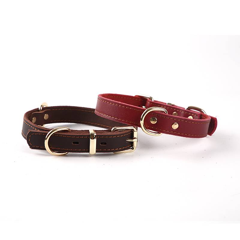 New product imported pure cowhide pet collars Large, medium, small dogs, dogs, rims, golden retriever neck cats and dog neck dog chain