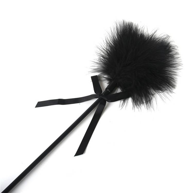 Trend a couple funny super long rod feather stick picking skin, shooting, photo cos decorative props, swinging cat stick