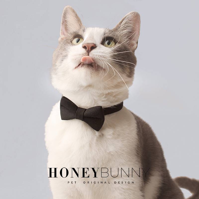 Honeybunny neck cat safety deduction circle wedding shooting bell suit black bow neck ring