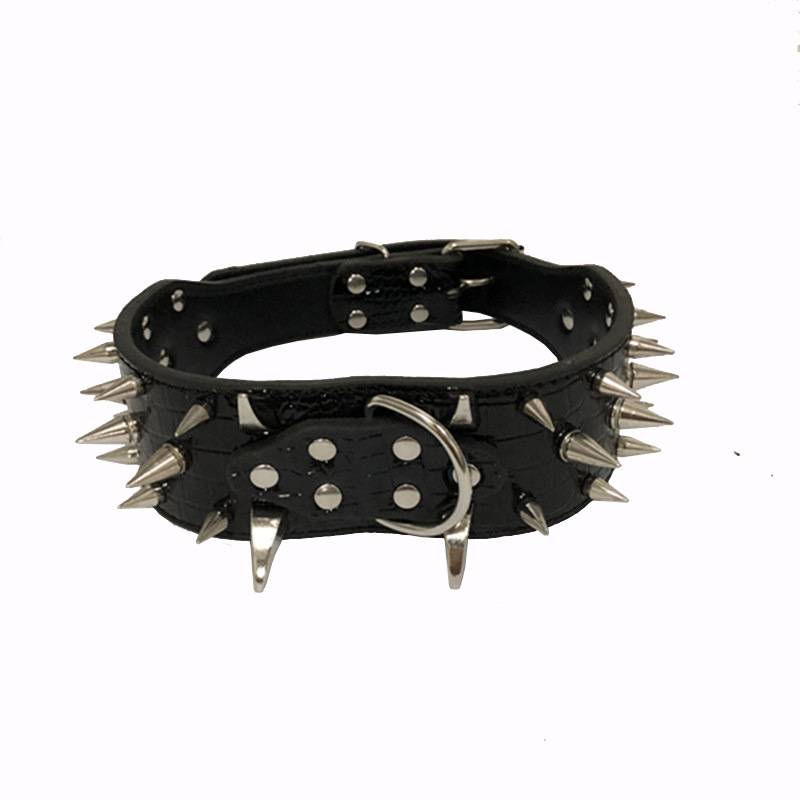 I'm going to nail the big dog's collar