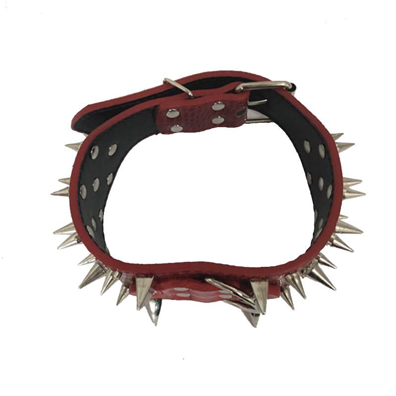 I'm going to nail the big dog's collar