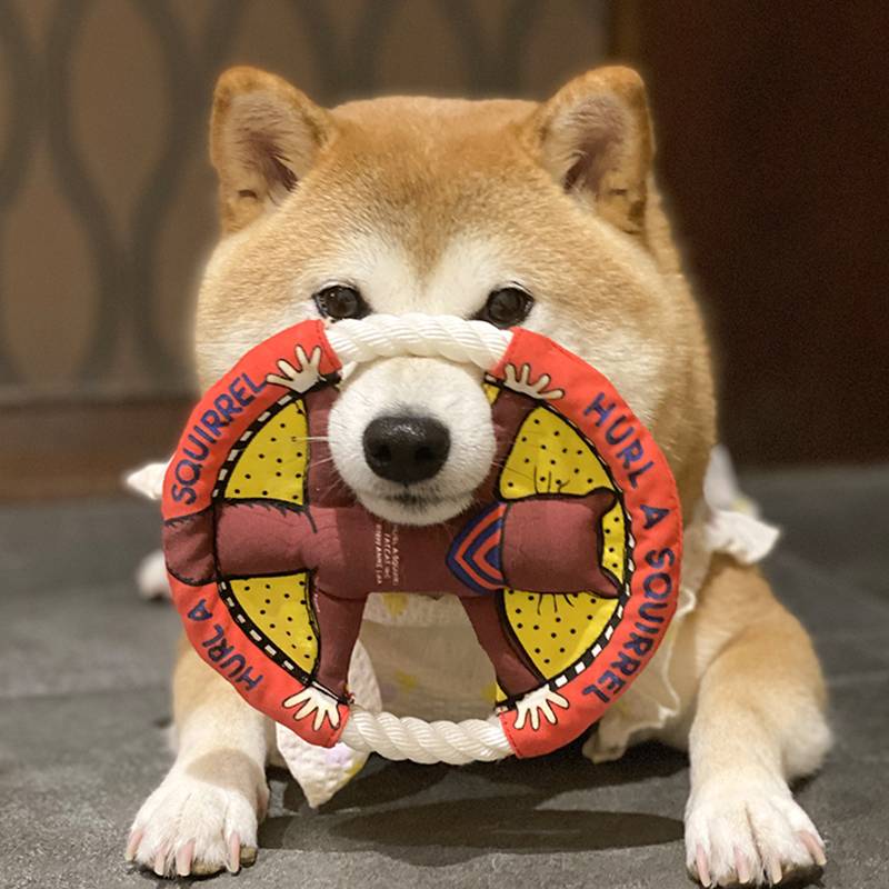 Dog toy, bite cable, rope, pet Corgi flying tract cat ropes, Shiba Inu canvas flying disk outdoor training dog circle