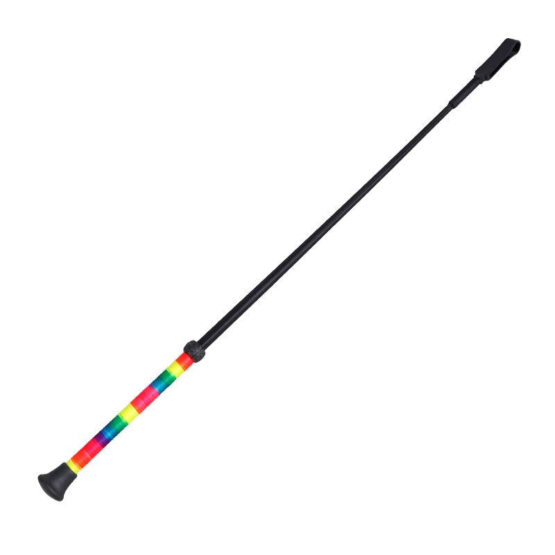 the horse's whip