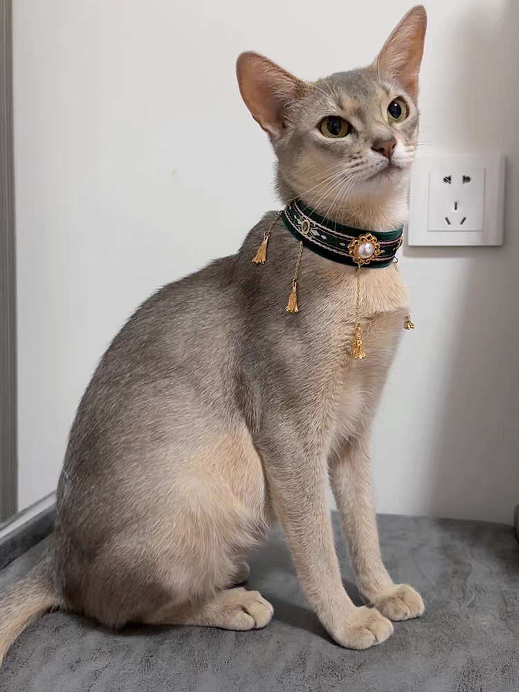 Cat collar pet jewelry beautiful items, cats, cat necks, Egyptian Abi cat noble streaming gem rings