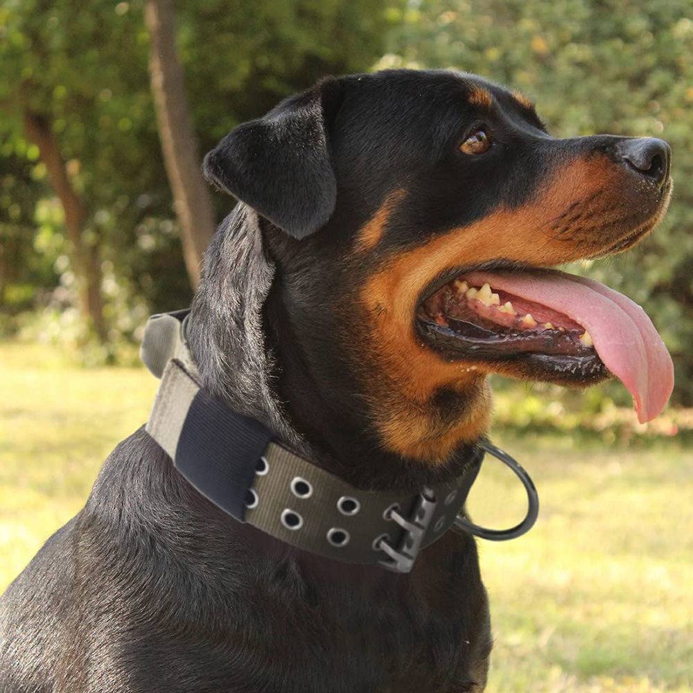 Inserting outdoor dog collar large, medium -sized dog nylon buckle size adjustable dog collar pet supplies