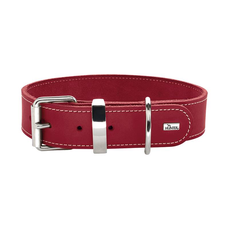 Germany Hunter Olburg minimalist leather ring in the large dog dog pet cowhide neck ring traction rope