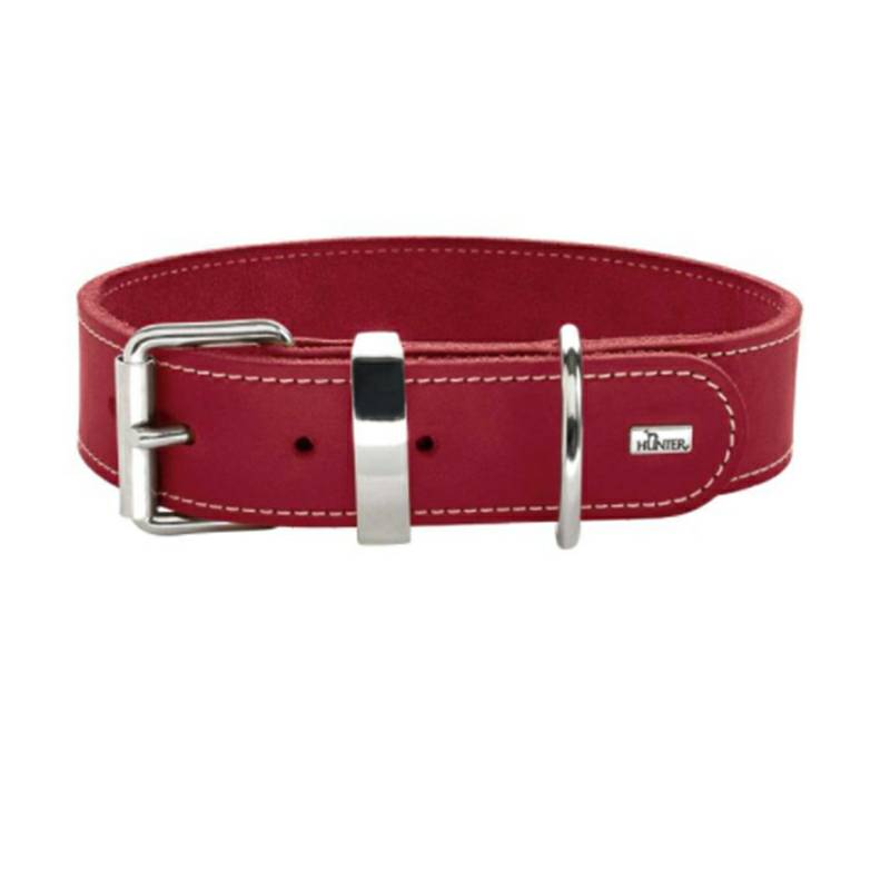 The collar is 36 to 44 cm, and the length is 3.5 cm