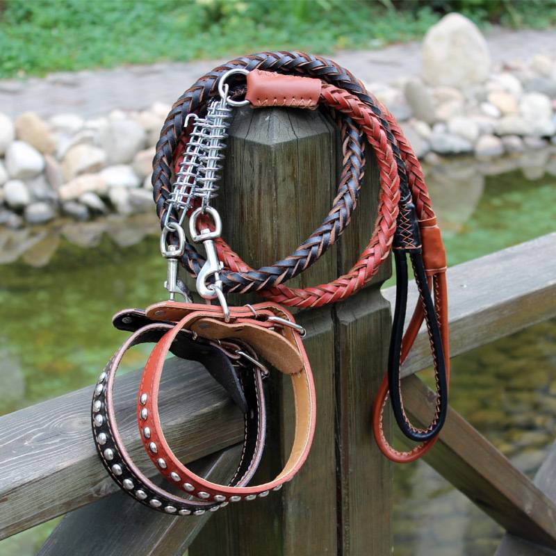 Medium -sized large dog dog traction cowhide dog chain Golden retriever, explosion -proof dogs, walking dog rope collaboration