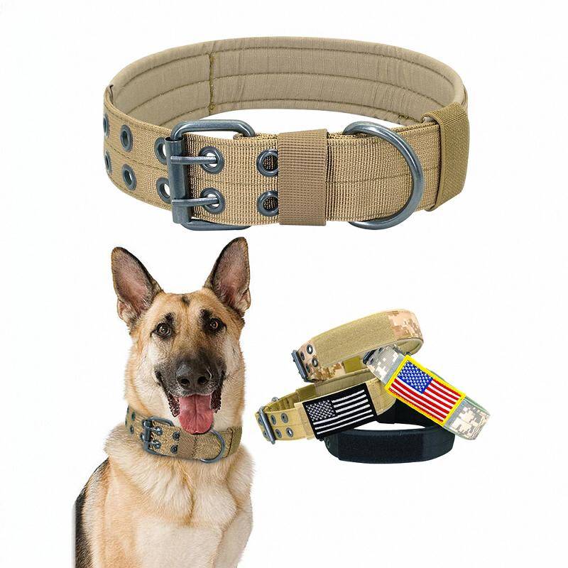 The super-concentrated big dog collars, the mid-collar dog collars, the dog-crawl