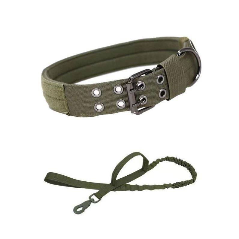 The Bulldog's collar dog, and the Golden Mauder's Tactical Collar, to protect them from the jackal