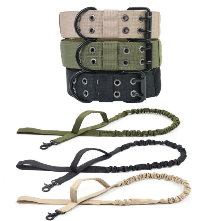 The Bulldog's collar dog, and the Golden Mauder's Tactical Collar, to protect them from the jackal