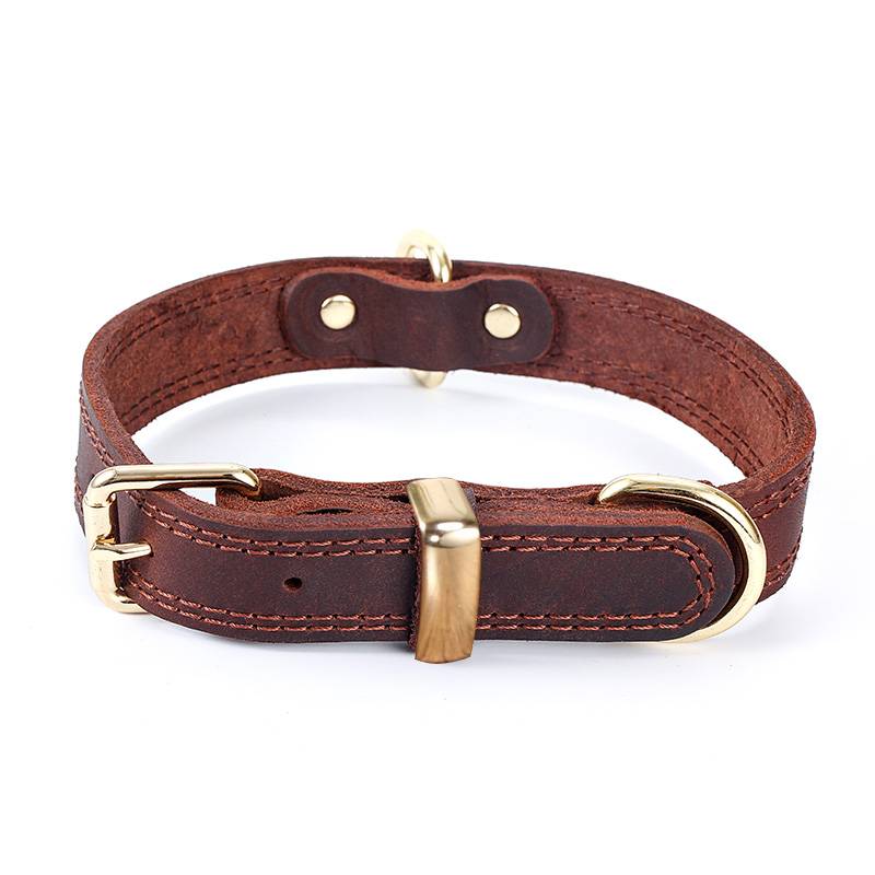 Crucket Pets Broken Dog Circle Golden Mogen Dog Mid -large Dog Cycral Neck Circle Circle Small Inu Di Di Dog Bog