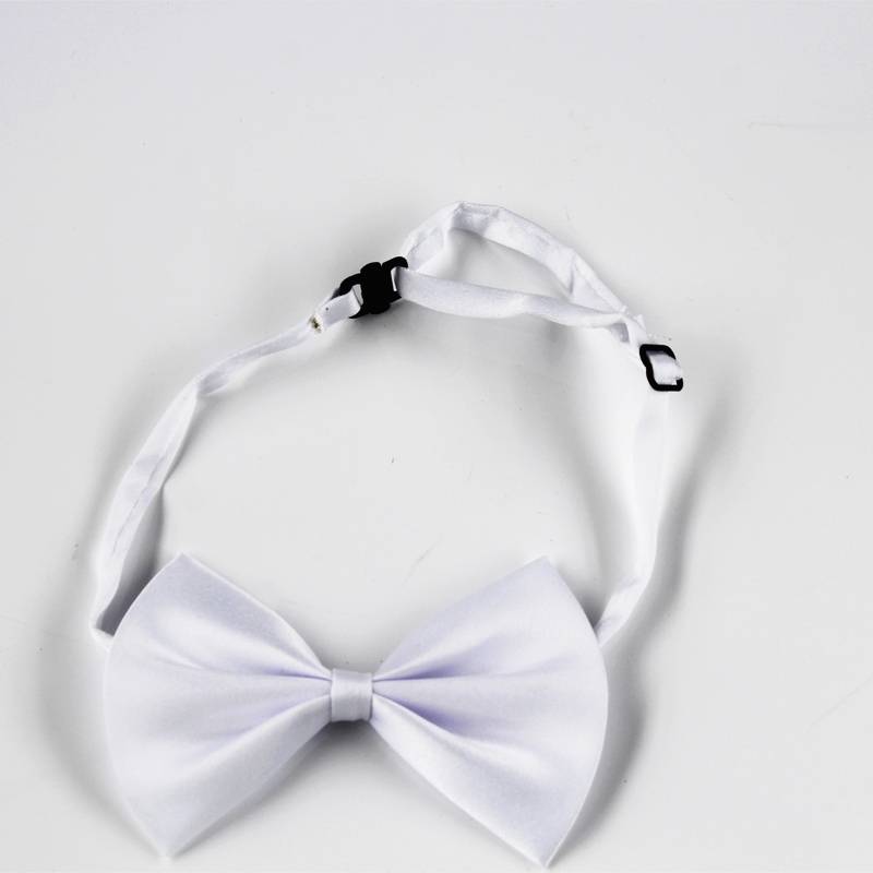 Little cute little tie (white)