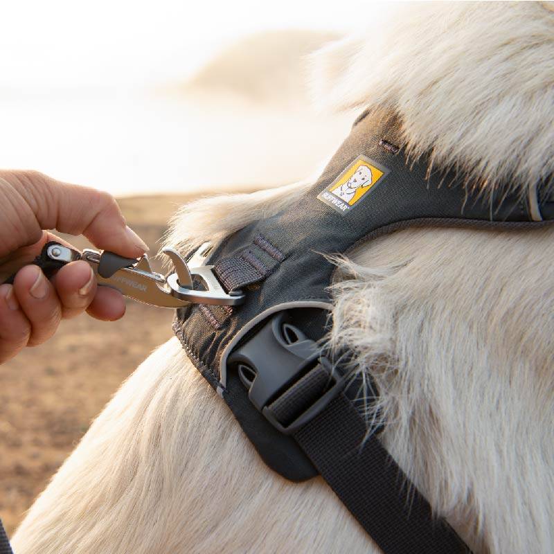 [Genuine authorized] Lavwelfrand Dog's chest back, large, medium -sized dog neck rope pet