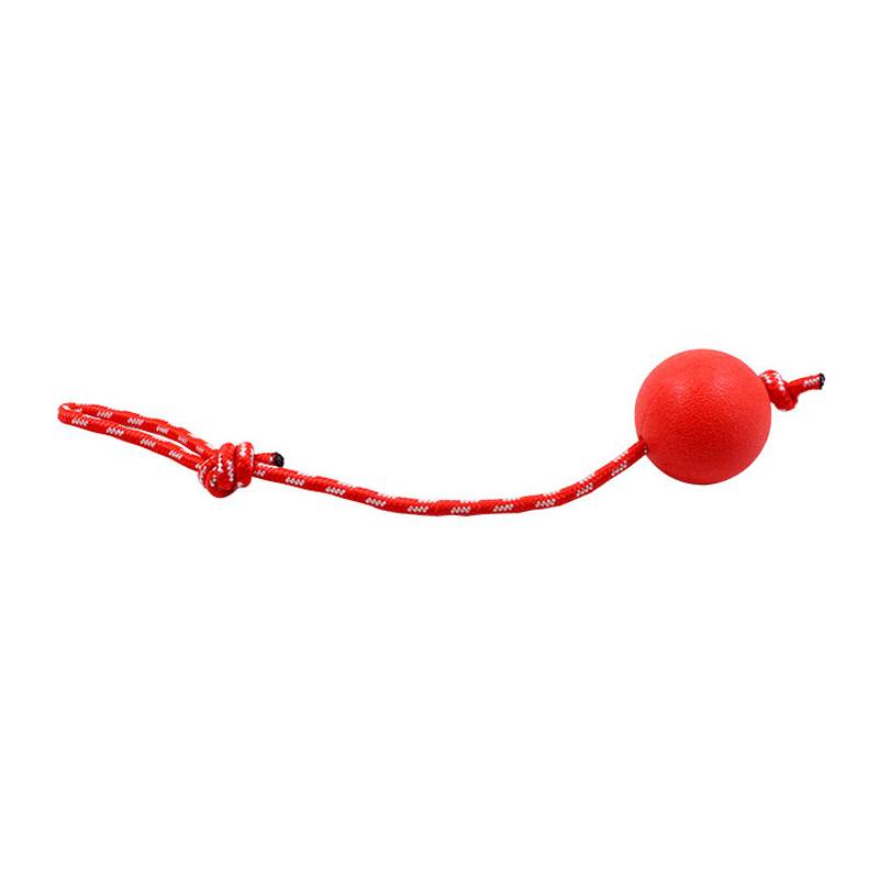 Dog toy ball elastic ball, grinding grinding teeth real ball, teddy puppy unraveling rubber ball pet training scream